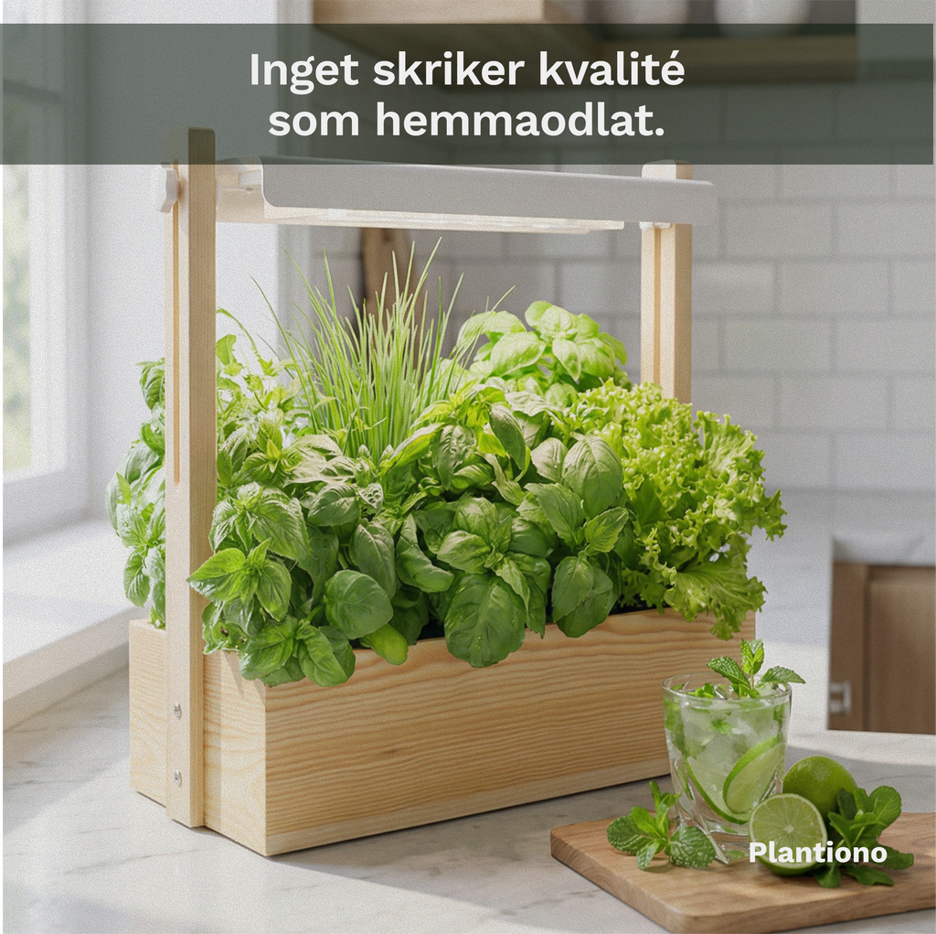 Plantiono Odlingskit