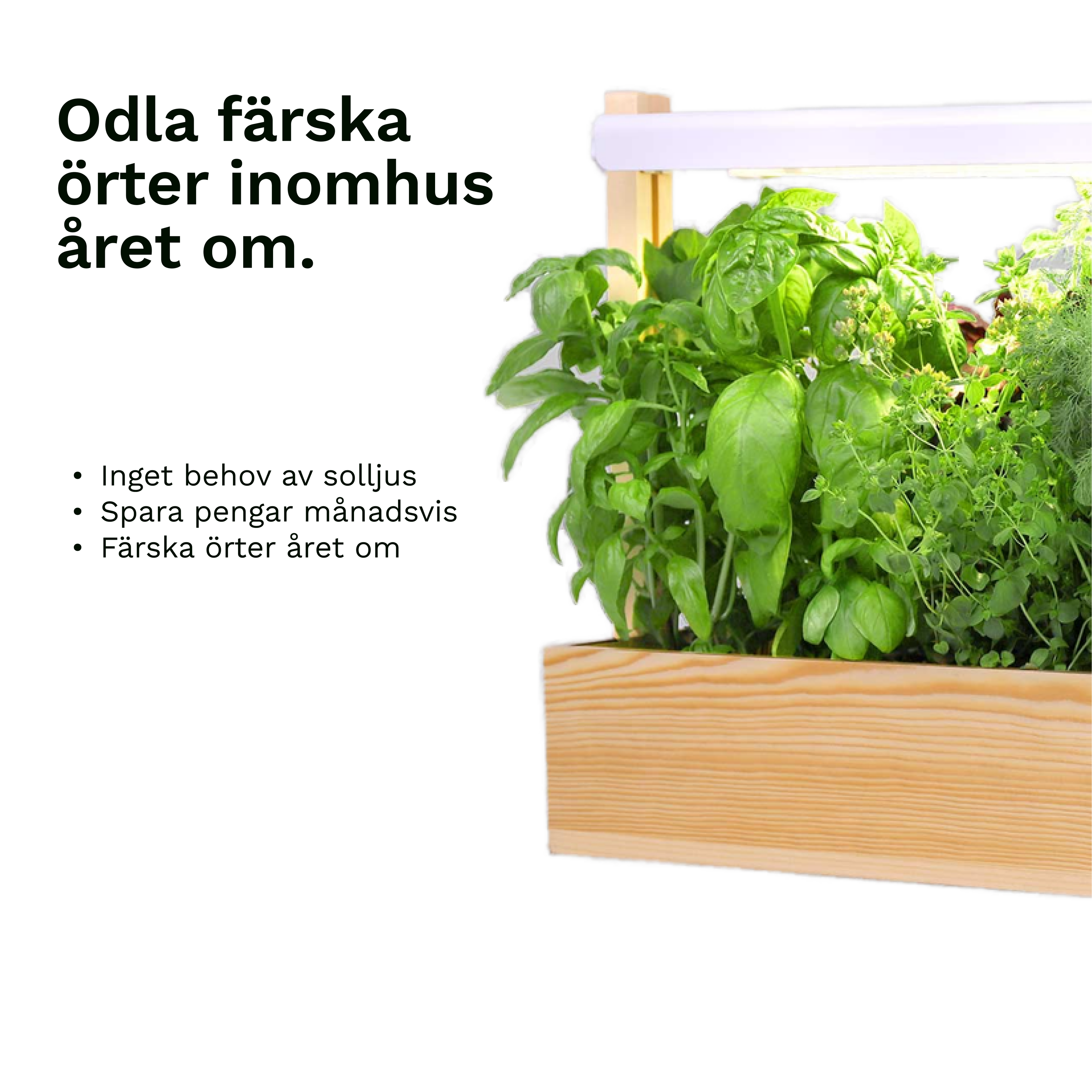 Plantiono Odlingskit