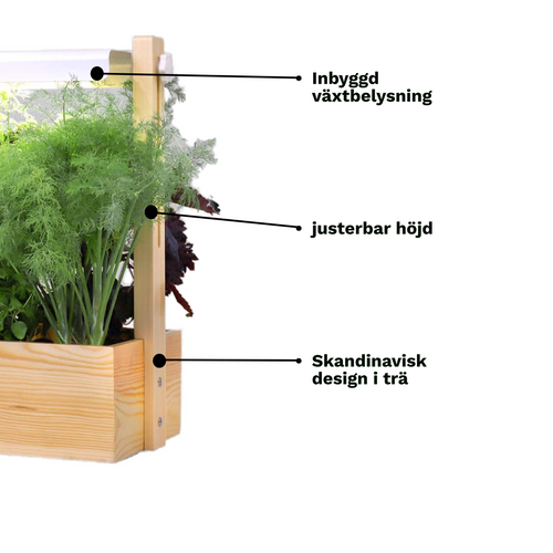 Plantiono Odlingskit