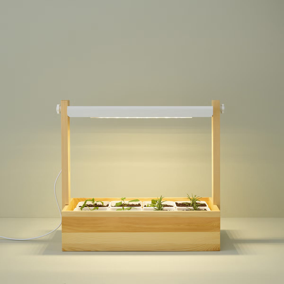 Plantiono Odlingskit